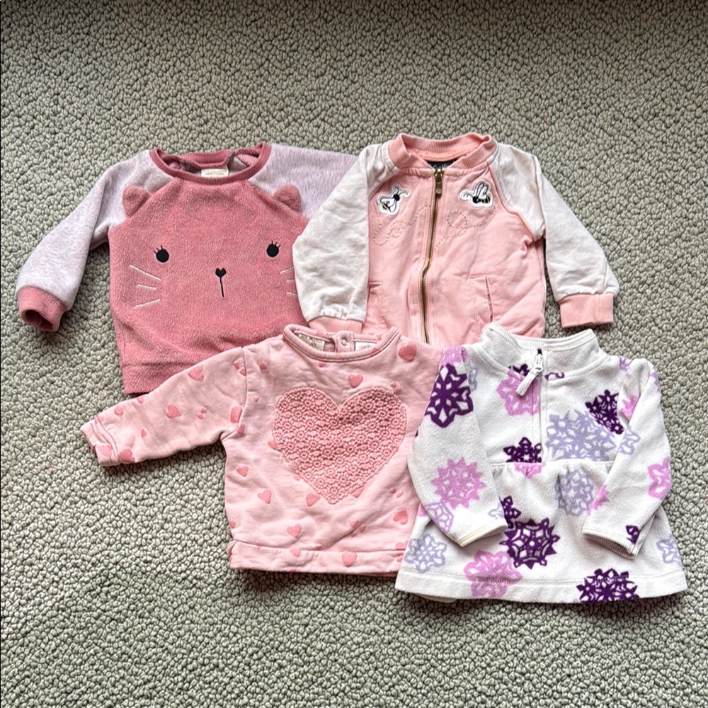 Girls Sweatshirt Set | Size 6-9 months